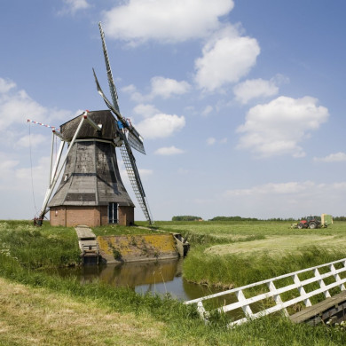Rijksdienst voor het Cultureel Erfgoed: Roderburg, K. (Kris)
