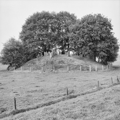 Rijksdienst voor het Cultureel Erfgoed: Koning, J.P. de