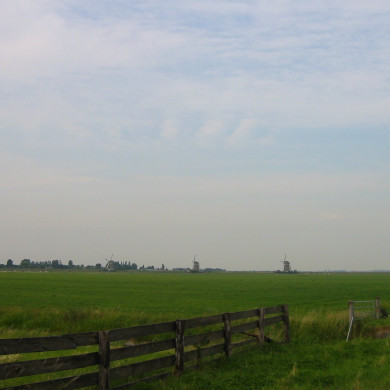 Rijksdienst voor het Cultureel Erfgoed: Terpstra, Frank