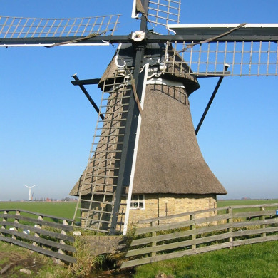 Rijksdienst voor het Cultureel Erfgoed: Terpstra, Frank