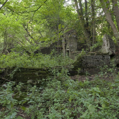 Rijksdienst voor het Cultureel Erfgoed: Booms, C.S. (Chris)