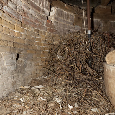 Rijksdienst voor het Cultureel Erfgoed: Booms, C.S. (Chris)