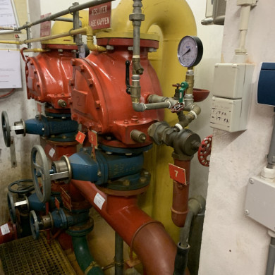 Rijksdienst voor het Cultureel Erfgoed: Bogers, Guido