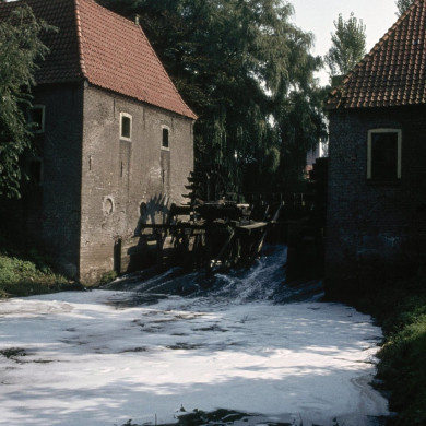 Rijksdienst voor het Cultureel Erfgoed