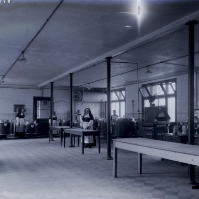 Rijksdienst voor het Cultureel Erfgoed: Brinio