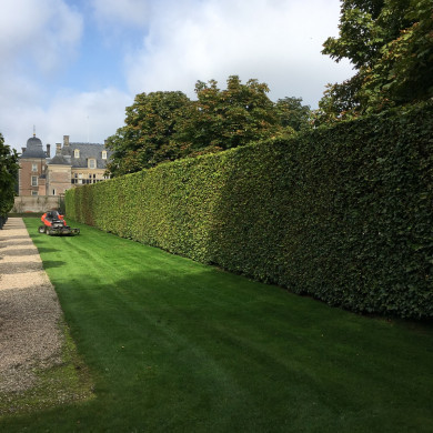 Rijksdienst voor het Cultureel Erfgoed: Wal, Henry van der