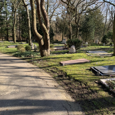 Rijksdienst voor het Cultureel Erfgoed: Bogers, Guido
