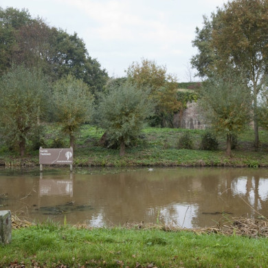 Rijksdienst voor het Cultureel Erfgoed: Booms, C.S. (Chris)-Roderburg, K. (Kris)
