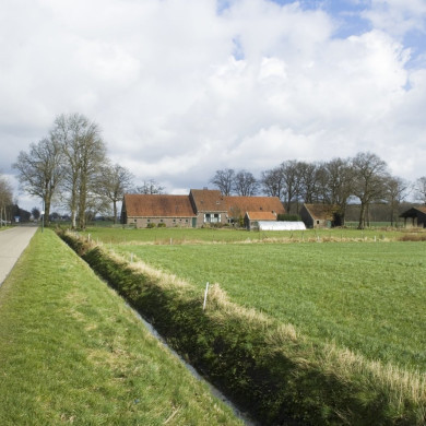 Rijksdienst voor het Cultureel Erfgoed: Galen, Jan van
