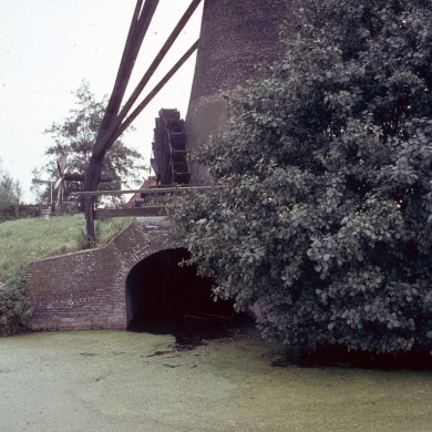 Rijksdienst voor het Cultureel Erfgoed