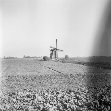 Rijksdienst voor het Cultureel Erfgoed: Korpershoek, W.A.