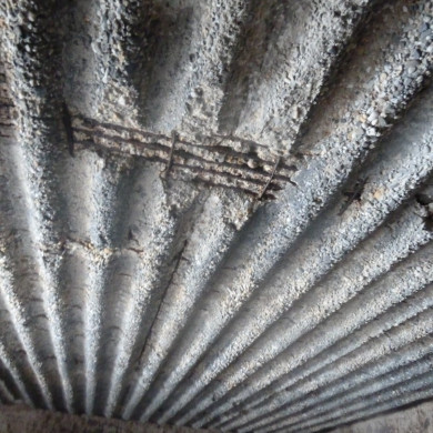 Rijksdienst voor het Cultureel Erfgoed: Bogers, Guido