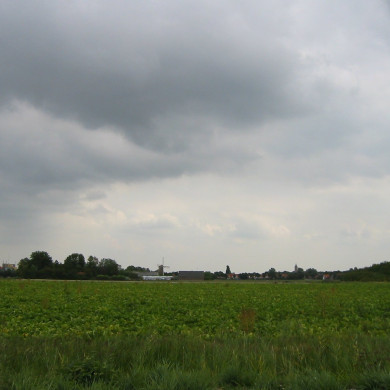 Rijksdienst voor het Cultureel Erfgoed: Terpstra, Frank