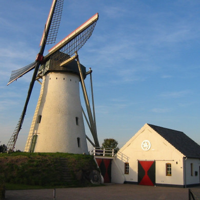 Rijksdienst voor het Cultureel Erfgoed: Terpstra, Frank