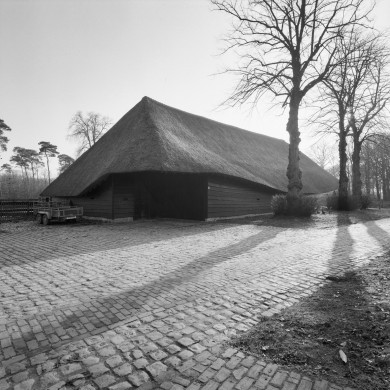 Rijksdienst voor het Cultureel Erfgoed: Heins, IJ.Th.