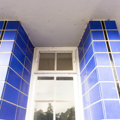 Rijksdienst voor het Cultureel Erfgoed: Sekuur, Mark