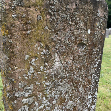 Rijksdienst voor het Cultureel Erfgoed: Bogers, Guido