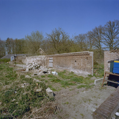 Rijksdienst voor het Cultureel Erfgoed: Heins, IJ.Th.