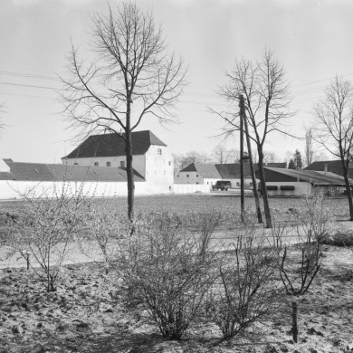 Rijksdienst voor het Cultureel Erfgoed: Delemarre, G.Th.