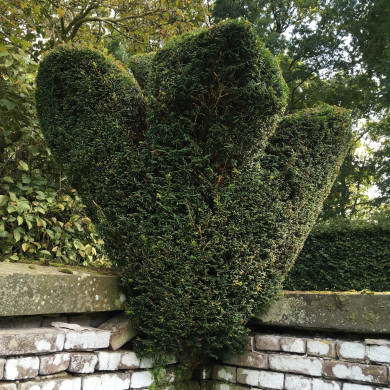 Rijksdienst voor het Cultureel Erfgoed: Wal, Henry van der