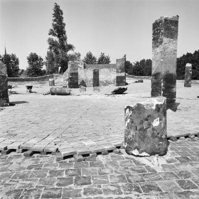 Rijksdienst voor het Cultureel Erfgoed: Galen, P. van