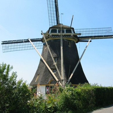 Rijksdienst voor het Cultureel Erfgoed: Terpstra, Frank
