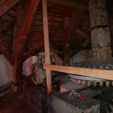 Rijksdienst voor het Cultureel Erfgoed: Terpstra, Frank