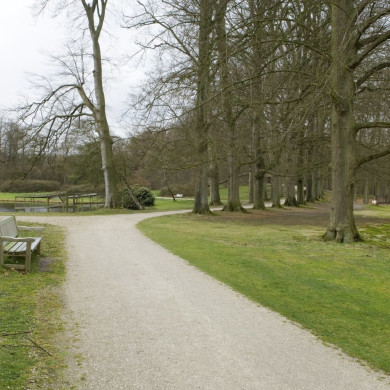 Rijksdienst voor het Cultureel Erfgoed: Galen, Jan van