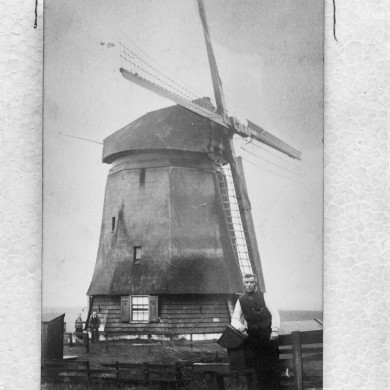 Rijksdienst voor het Cultureel Erfgoed: Rozema, J.