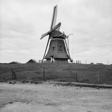 Rijksdienst voor het Cultureel Erfgoed: Tangel, L.M.