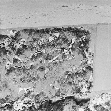 Rijksdienst voor het Cultureel Erfgoed: Tangel, L.M.