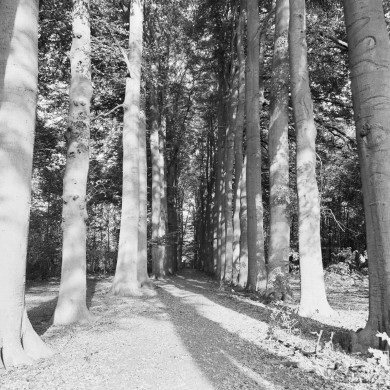 Rijksdienst voor het Cultureel Erfgoed: Galen, P. (Paul) van