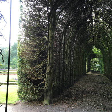 Rijksdienst voor het Cultureel Erfgoed: Wal, Henry van der