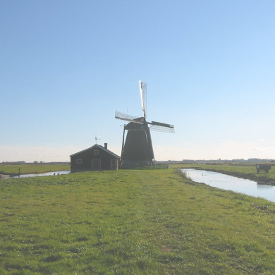 Rijksdienst voor het Cultureel Erfgoed: Terpstra, Frank