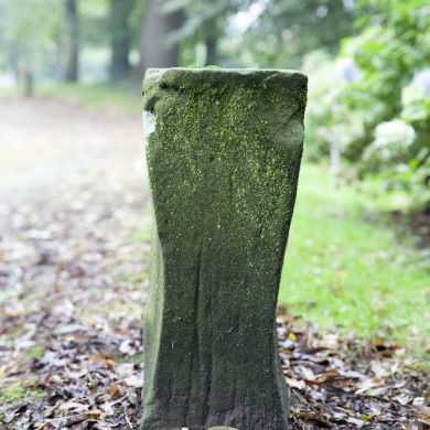 Rijksdienst voor het Cultureel Erfgoed: Sar, Wouter van der