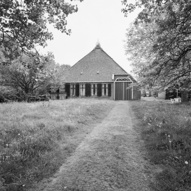 Rijksdienst voor het Cultureel Erfgoed: Heins, IJ.Th.