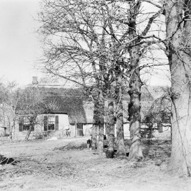 Rijksdienst voor het Cultureel Erfgoed: PROVINCIAAL MUSEUM DRENTE