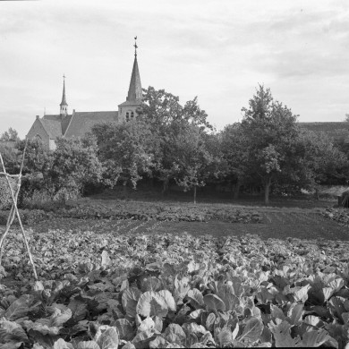 Rijksdienst voor het Cultureel Erfgoed: Delemarre, G.Th.