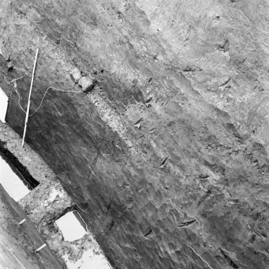 Rijksdienst voor het Cultureel Erfgoed: Wal, H. van der