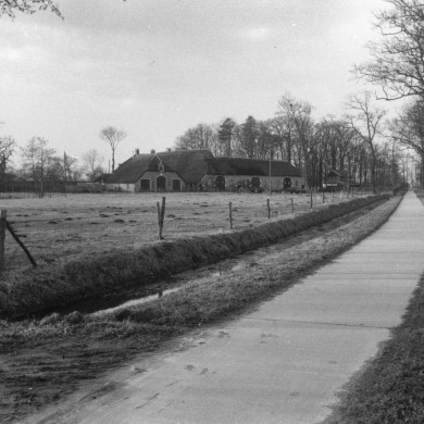 Rijksdienst voor het Cultureel Erfgoed: Delemarre, G.Th.