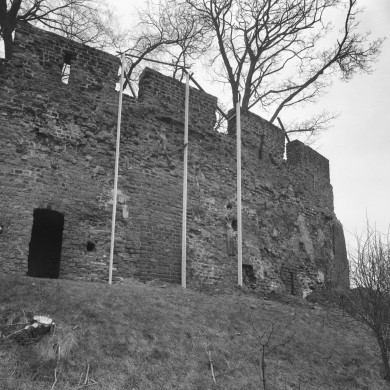 Rijksdienst voor het Cultureel Erfgoed: Delemarre, G.Th.