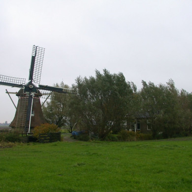 Rijksdienst voor het Cultureel Erfgoed: Terpstra, Frank