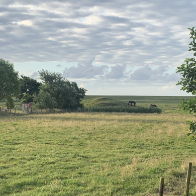 Rijksdienst voor het Cultureel Erfgoed: Bogers, Guido