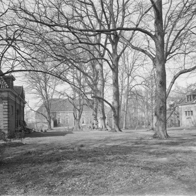 Rijksdienst voor het Cultureel Erfgoed: Delemarre, G.Th.