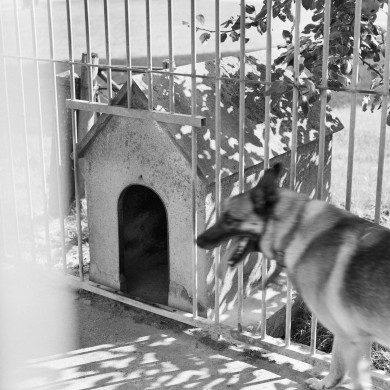 Rijksdienst voor het Cultureel Erfgoed: Dukker, G.J.