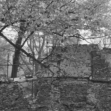 Rijksdienst voor het Cultureel Erfgoed: Tangel, L.M.