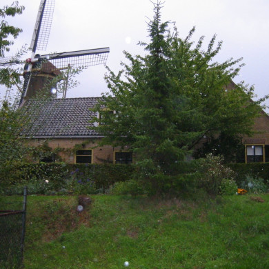 Rijksdienst voor het Cultureel Erfgoed: Terpstra, Frank