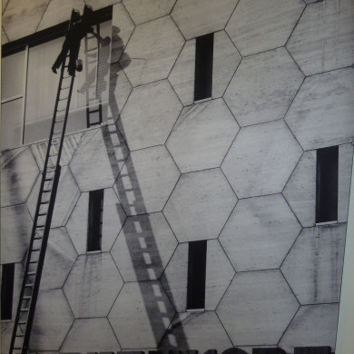 Rijksdienst voor het Cultureel Erfgoed: Bogers, Guido