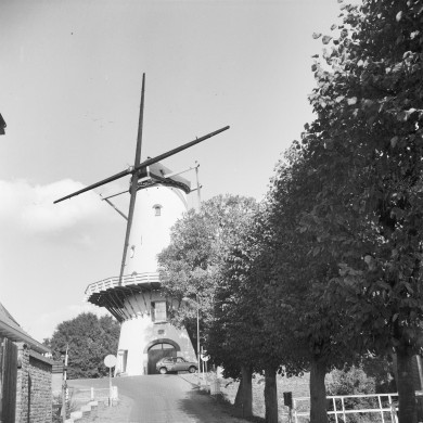 Rijksdienst voor het Cultureel Erfgoed