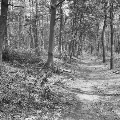 Rijksdienst voor het Cultureel Erfgoed: Galen, P. (Paul) van
